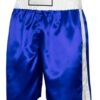 BOXING & THAI SHORTS