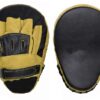 FOCUS MITT